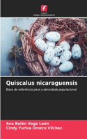 Quiscalus nicaraguensis