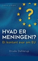 Hvad er meningen!? Et kontant svar om EU