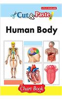 Cut & Paste - Human Body (Chart Book)