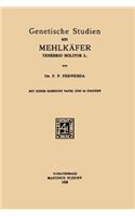 Genetische Studien Am Mehlkäfer Tenebrio Molitor L