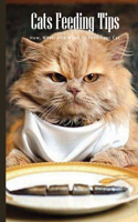 Cats Feeding Tips- How, What, And When To Feed Your Cat