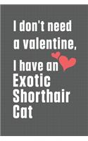 I don't need a valentine, I have a Exotic Shorthair Cat: For Exotic Shorthair Cat Fans