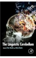Linguistic Cerebellum