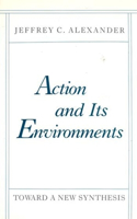 Action and Its Environments