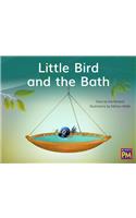 Little Bird and the Bath