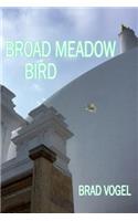 Broad Meadow Bird
