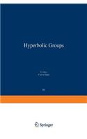 Sur Les Groupes Hyperboliques d'Après Mikhael Gromov