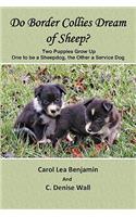 Do Border Collies Dream of Sheep?