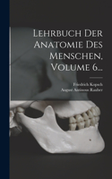 Lehrbuch Der Anatomie Des Menschen, Volume 6...