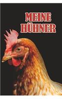 Meine Hühner