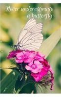 Never underestimate a butterfly: 5 minute Gratefulness and Thankfulness Journal for Women