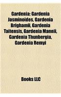 Gardenia Gardenia: Gardenia Jasminoides, Gardenia Brighamii, Gardenia Taitensisgardenia Jasminoides, Gardenia Brighamii, Gardenia Taitensis, Gardenia Mannii, Gardenia (English)