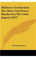 Biblisene Geschichten Des Alten Und Neuen Bundes Fur Die Liebe Jugend (1857)