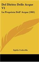 del Diritto Delle Acque V1