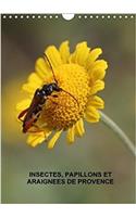 Insectes, Papillons Et Araignees De Provence 2018