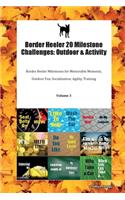 Border Heeler 20 Milestone Challenges: Outdoor & Activity Border Heeler Milestones for Memorable Moments, Outdoor Fun, Socialization, Agility, Training Volume 3
