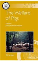 Welfare of Pigs
