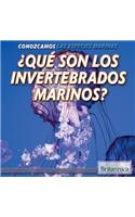 ¿Qué Son Los Invertebrados Marinos? (What Are Sea Invertebrates?)