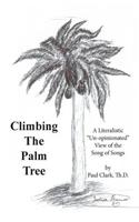 Climbing The Palm Tree