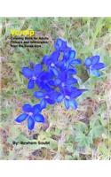 Voralp: Coloring Book for Adults, Flowers and Landscapes from the Swiss Alps