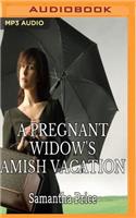 Pregnant Widow's Amish Vacation