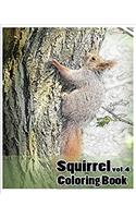 Squirrel Coloring Book: A Coloring Book Containing 30 Squirrel Designs in a Variety of Styles to Help You Relax: Volume 4