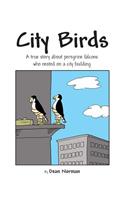 City Birds
