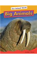 Big Animals