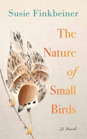 Nature of Small Birds