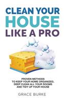 Clean Your House Like A Pro