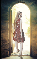 Collection of Stories