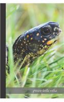 grass turtle notes