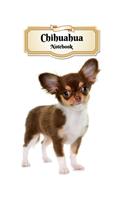 Chihuahua Notebook: Longhair Puppy - Composition Book 150 pages 8.5 x 11 in. - College Ruled - Writing Notebook - Lined Paper - Soft Cover - Plain Journal