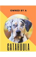 Owned by a Catahoula