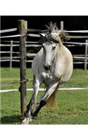 Horse on the Move Dot Grid Bullet Journal: 150 Page Notebook 8 X 10 Inches