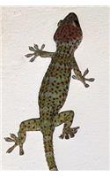 Tokay Gecko Journal: 150 page lined notebook/diary