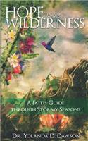 Hope in the Wilderness: A Faith-Guide through Stormy Seasons