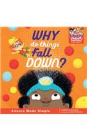 Why Do Things Fall Down?