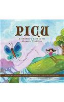 Picu
