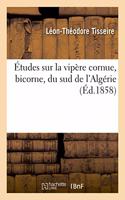 Études Sur La Vipère Cornue, Bicorne, Du Sud de l'Algérie