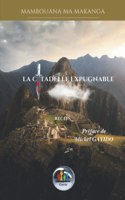 Citadelle Expugnable