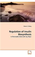 Regulation of Insulin Biosynthesis