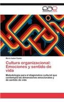 Cultura Organizacional: Emociones y Sentido de Vida