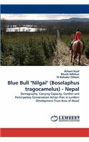 Blue Bull "Nilgai" (Boselaphus tragocamelus) - Nepal