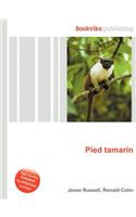 Pied Tamarin