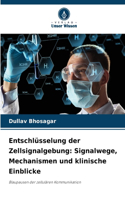 Entschlüsselung der Zellsignalgebung: Signalwege, Mechanismen und klinische Einblicke