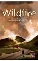 Wildfire!: Leveled Reader Ruby Level 28(PM)