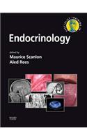 Specialist Training in Endocrinology