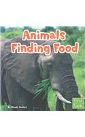 Animals Finding Food