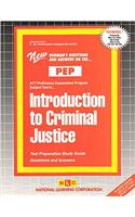 Introduction to Criminal Justice